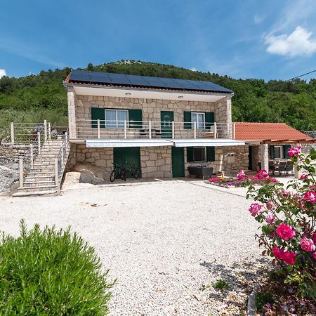 Villa Zuza Bristivica エクステリア 写真