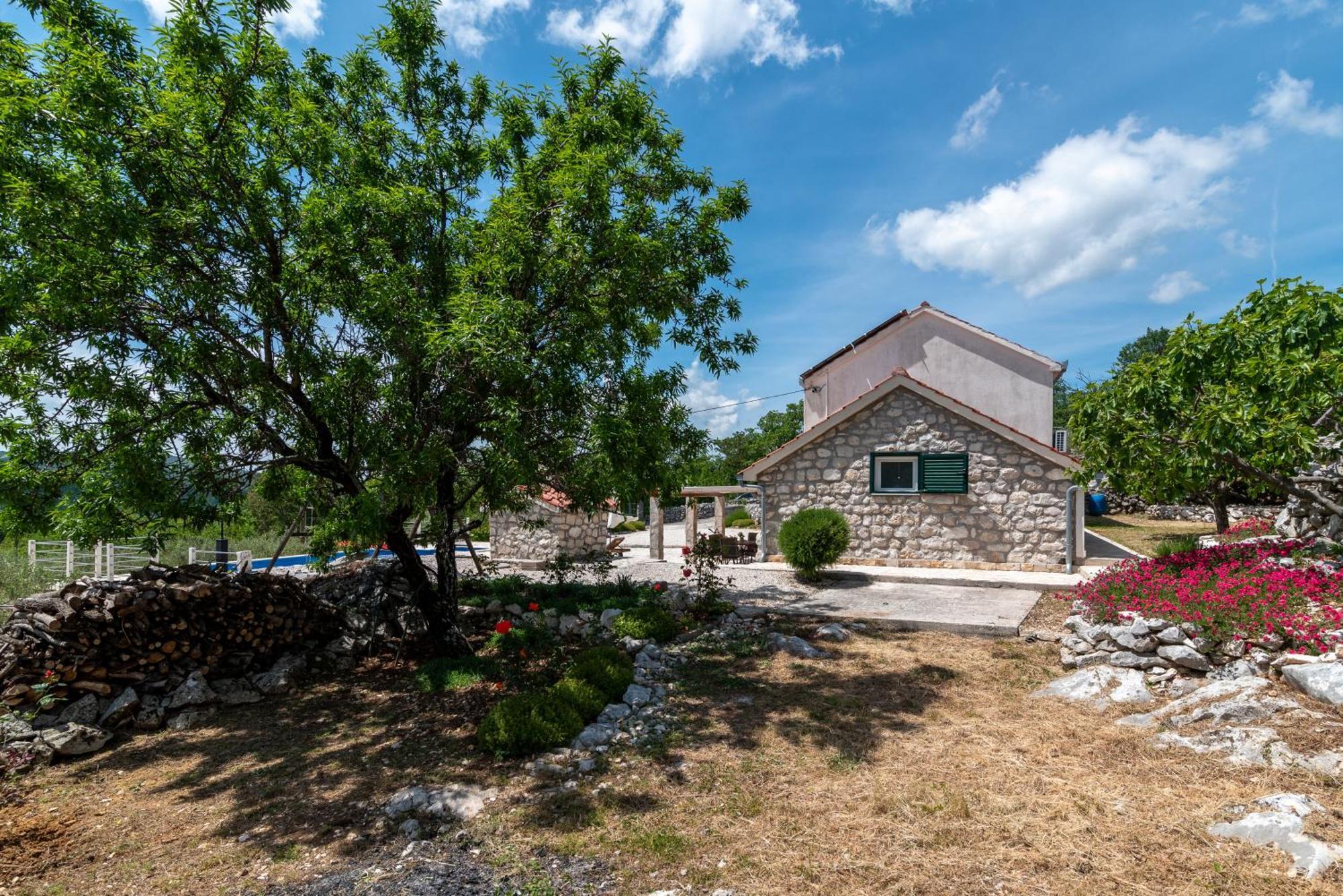 Villa Zuza Bristivica エクステリア 写真